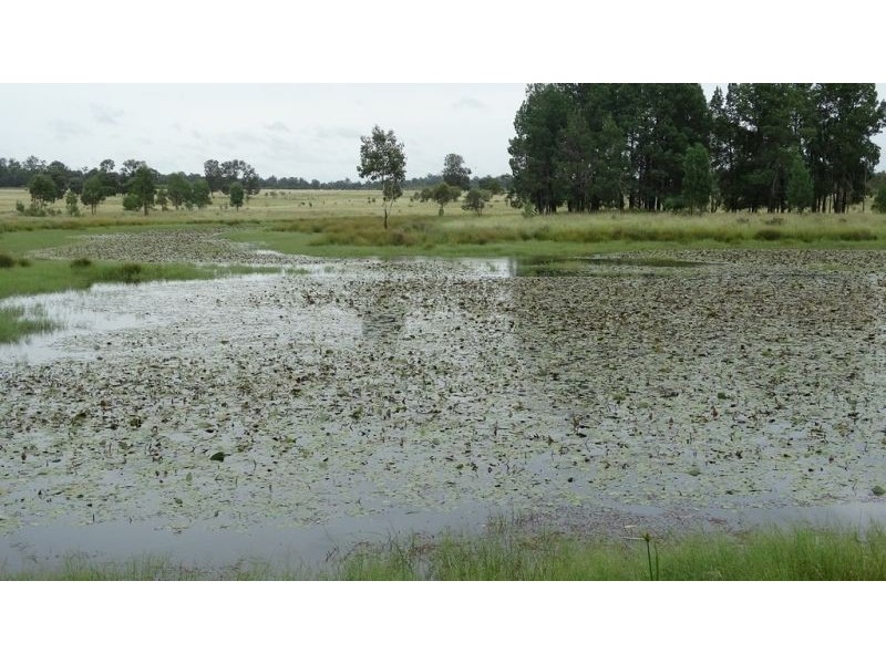 Surcingle Road, Chinchilla QLD 4413