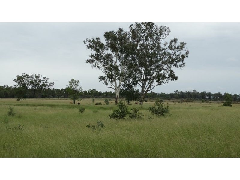 Surcingle Road, Chinchilla QLD 4413