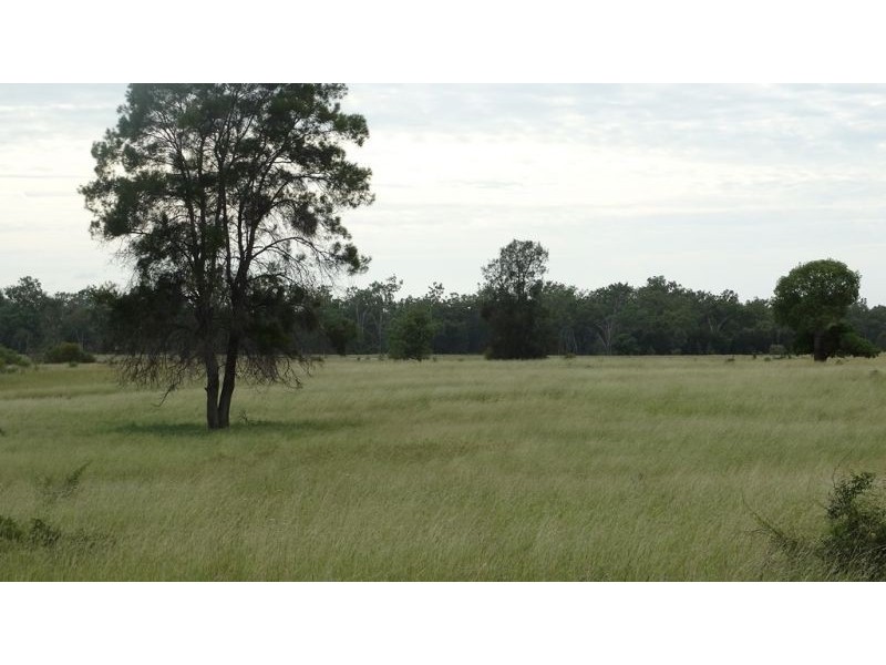 Surcingle Road, Chinchilla QLD 4413