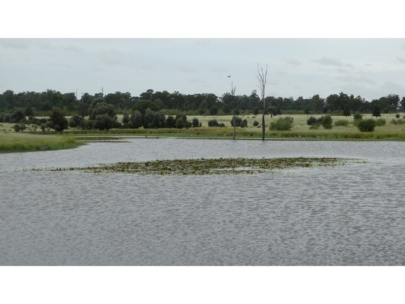 Surcingle Road, Chinchilla QLD 4413