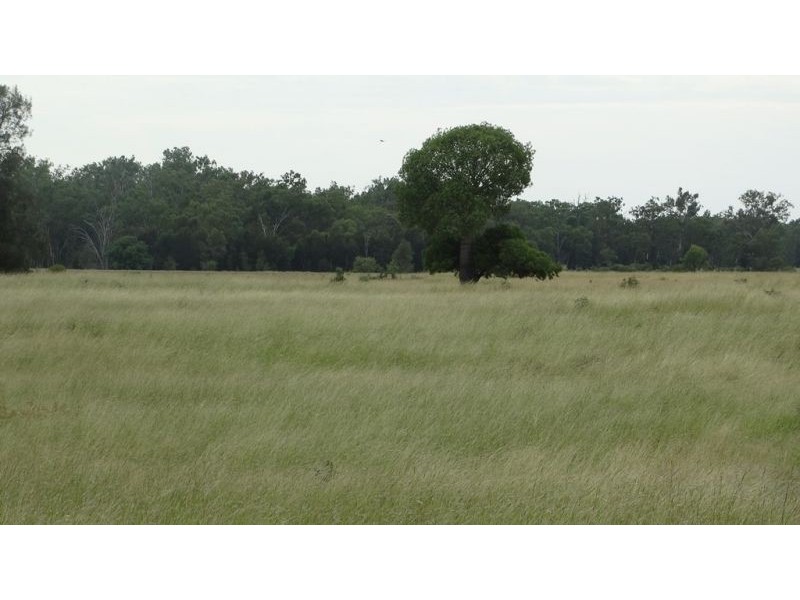 Surcingle Road, Chinchilla QLD 4413