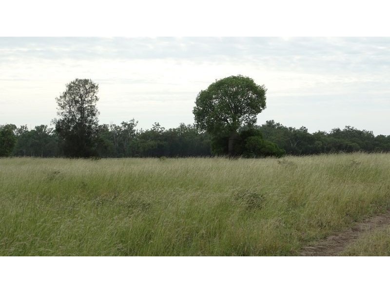 Surcingle Road, Chinchilla QLD 4413