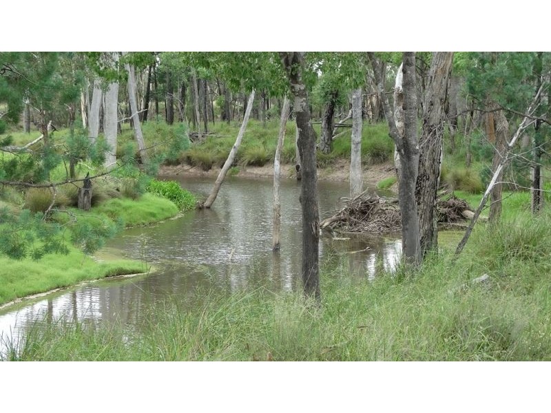 Surcingle Road, Chinchilla QLD 4413