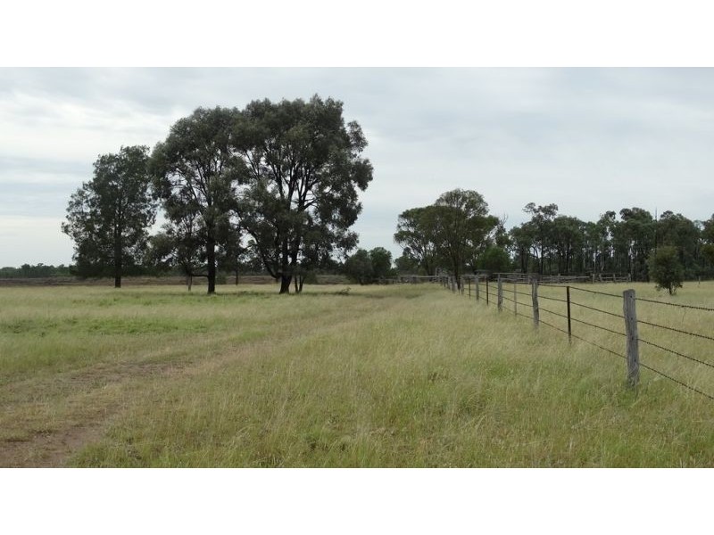 Surcingle Road, Chinchilla QLD 4413
