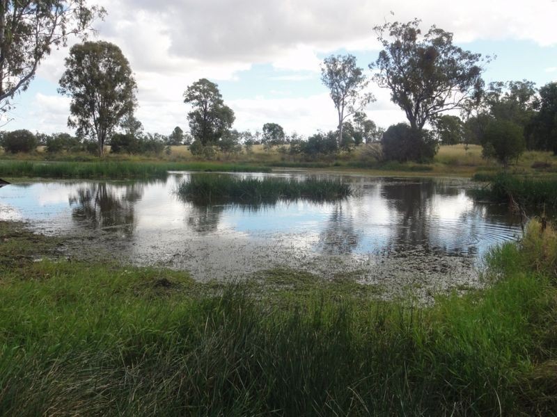 446 Holmes Road, Chinchilla QLD 4413