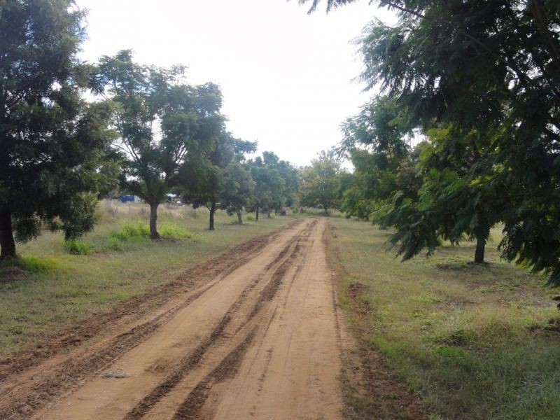 Holmes Road, Chinchilla QLD 4413