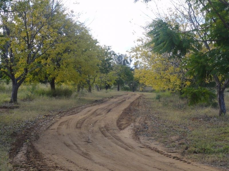 Holmes Road, Chinchilla QLD 4413