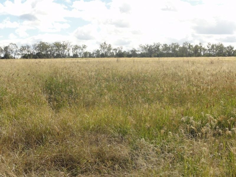 Holmes Road, Chinchilla QLD 4413