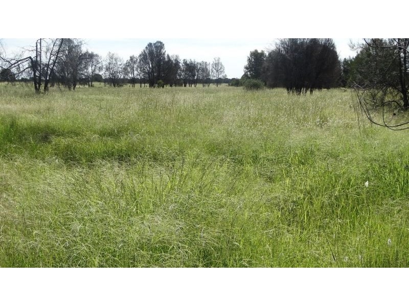 Kalanda G Tennysons Road, Chinchilla QLD 4413