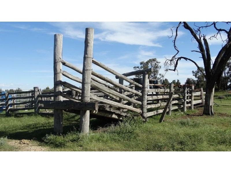 Kalanda G Tennysons Road, Chinchilla QLD 4413