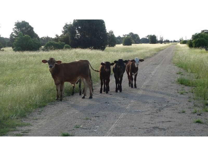 Kalanda G Tennysons Road, Chinchilla QLD 4413