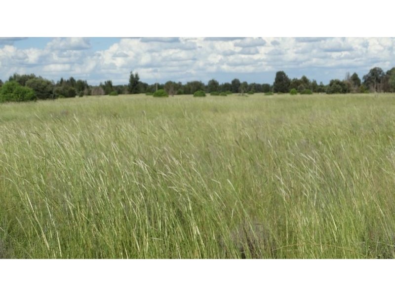 Kalanda G Tennysons Road, Chinchilla QLD 4413