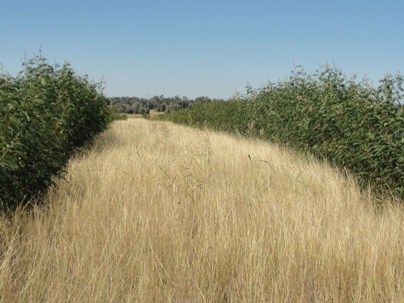 Lot 65 Warrego Highway, Chinchilla QLD 4413