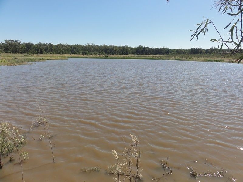 Lot 65 Warrego Highway, Chinchilla QLD 4413