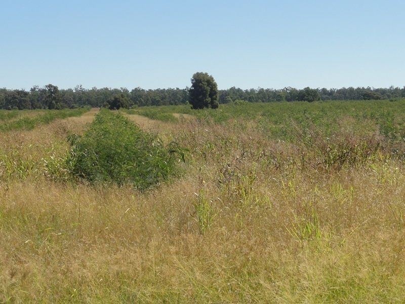 Lot 65 Warrego Highway, Chinchilla QLD 4413