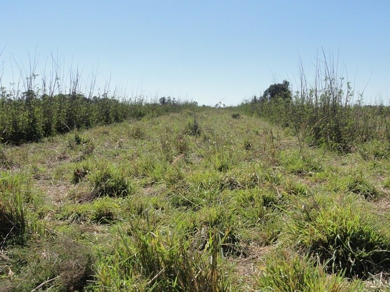 Lot 65 Warrego Highway, Chinchilla QLD 4413