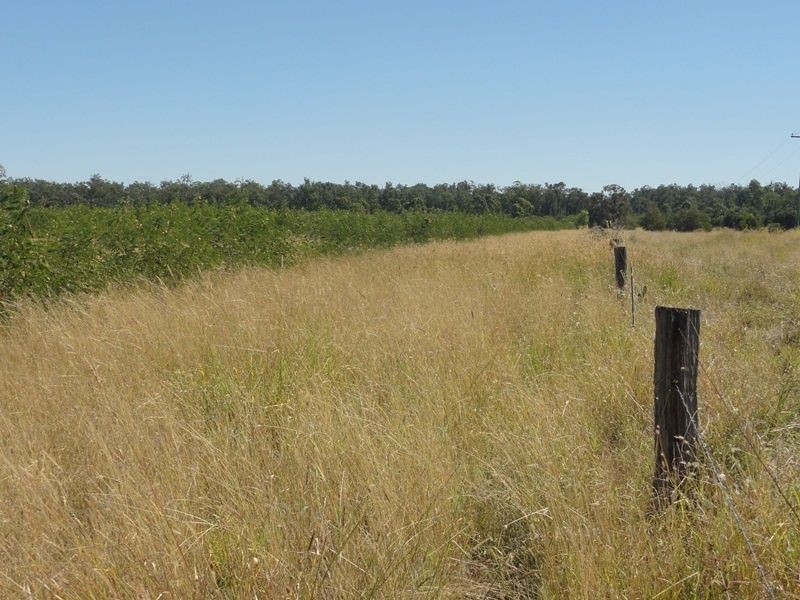 Lot 65 Warrego Highway, Chinchilla QLD 4413