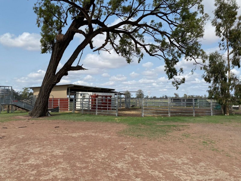 2967 Tara Kogan Road, Kogan QLD 4406