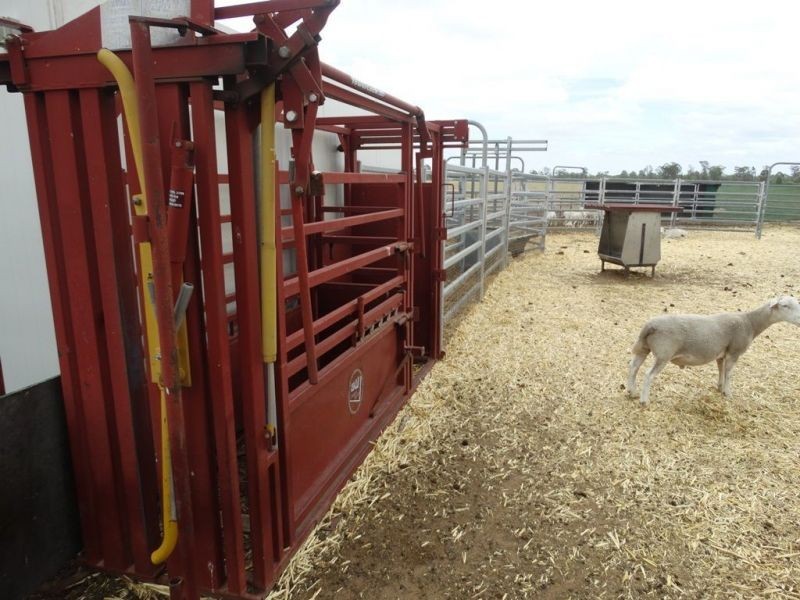 2967 Tara Kogan Road, Kogan QLD 4406