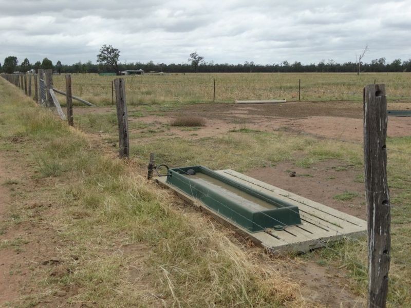 2967 Tara Kogan Road, Kogan QLD 4406