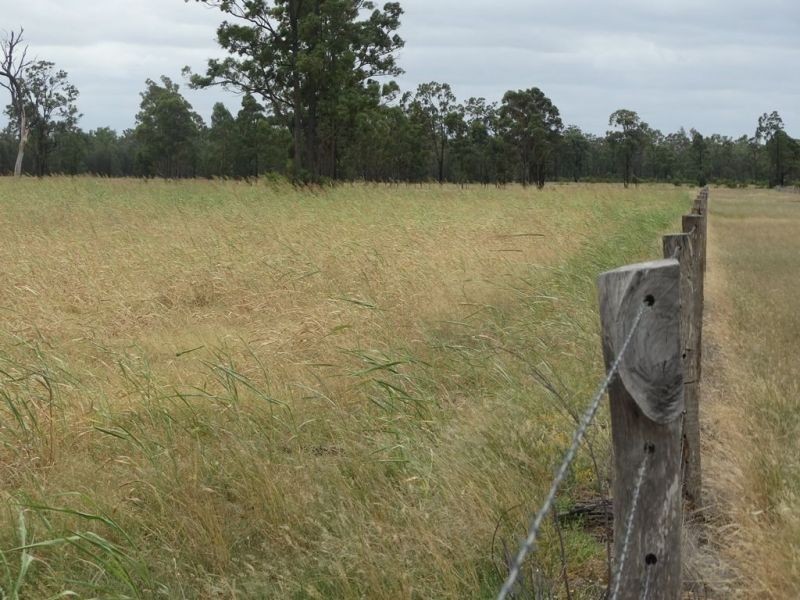 2967 Tara Kogan Road, Kogan QLD 4406