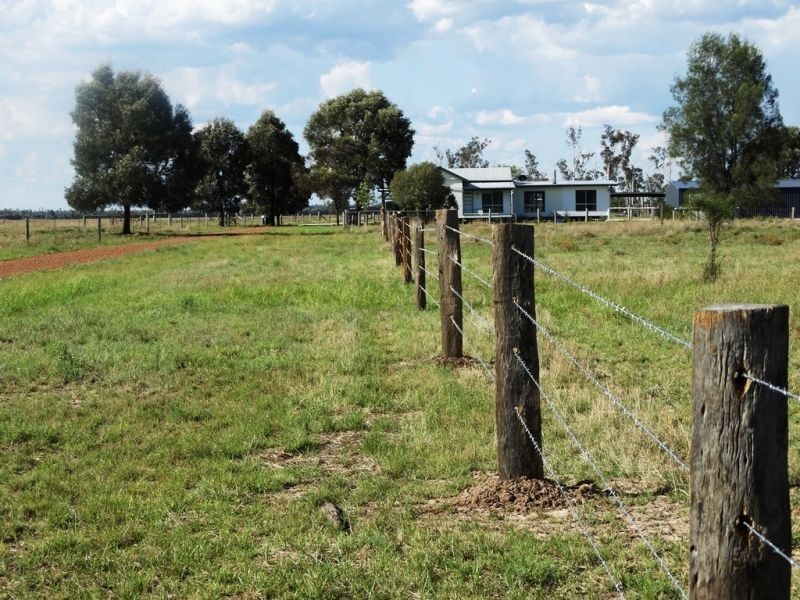 1573 Burncluith Hall Road, Chinchilla QLD 4413