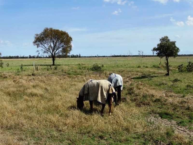 1573 Burncluith Hall Road, Chinchilla QLD 4413