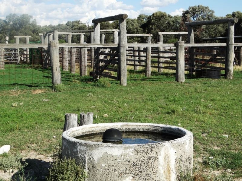 1573 Burncluith Hall Road, Chinchilla QLD 4413