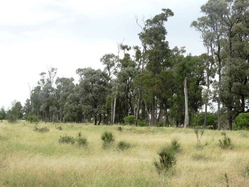 1573 Burncluith Hall Road, Chinchilla QLD 4413