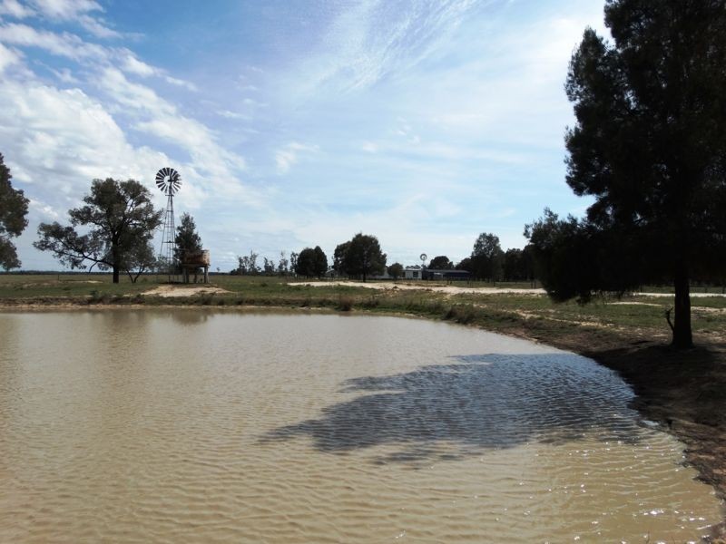 1573 Burncluith Hall Road, Chinchilla QLD 4413