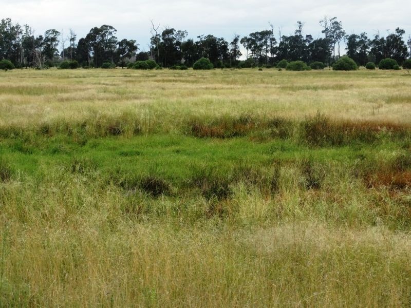 1573 Burncluith Hall Road, Chinchilla QLD 4413