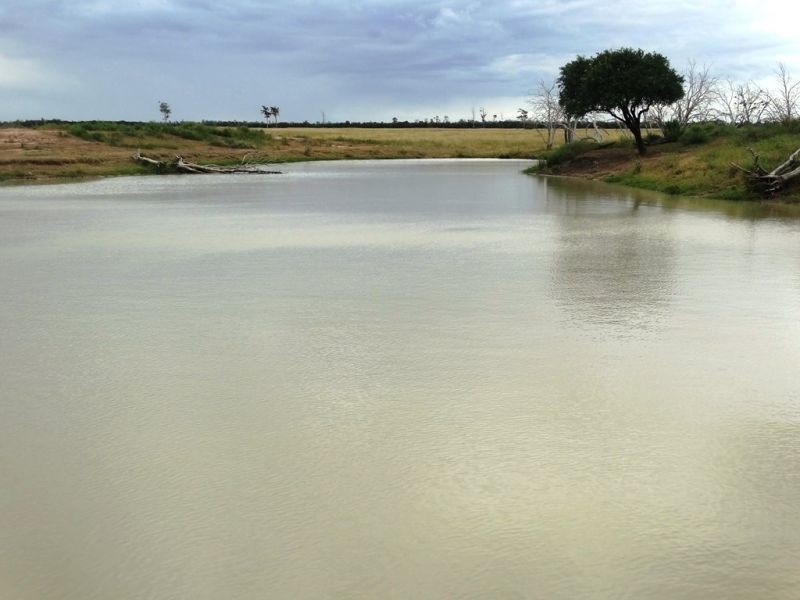 1573 Burncluith Hall Road, Chinchilla QLD 4413