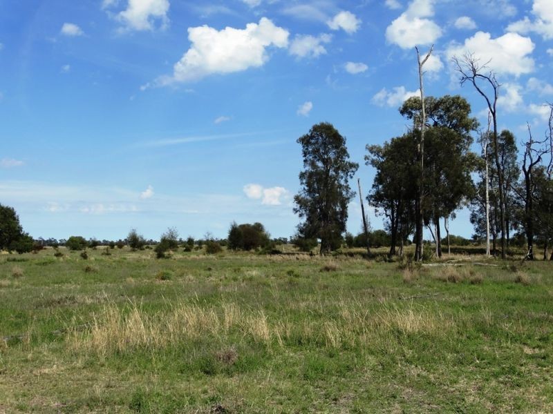 1573 Burncluith Hall Road, Chinchilla QLD 4413