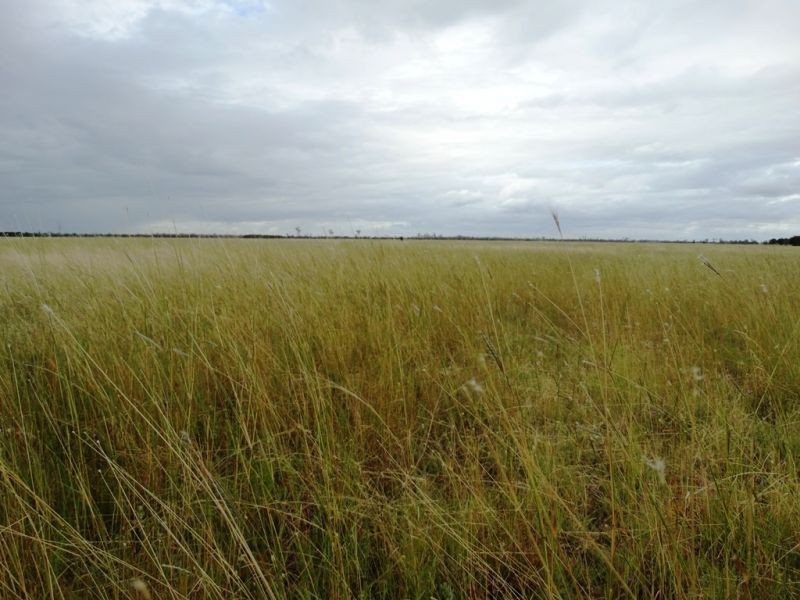 1573 Burncluith Hall Road, Chinchilla QLD 4413