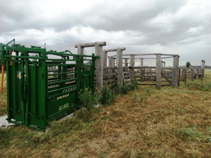 1573 Burncluith Hall Road, Chinchilla QLD 4413