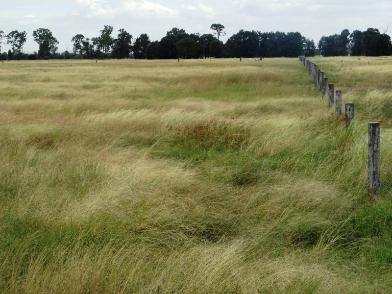 1573 Burncluith Hall Road, Chinchilla QLD 4413