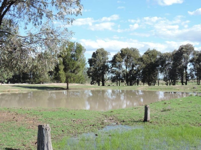 1573 Burncluith Hall Road, Chinchilla QLD 4413