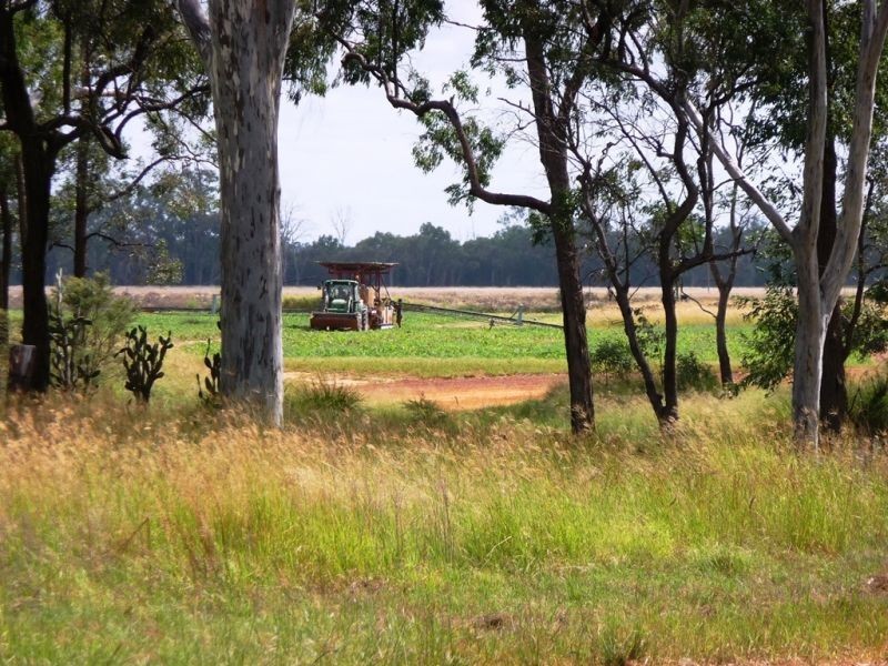 “Horse Shoe Lagoons” Pelican Back Road, Chinchilla QLD 4413