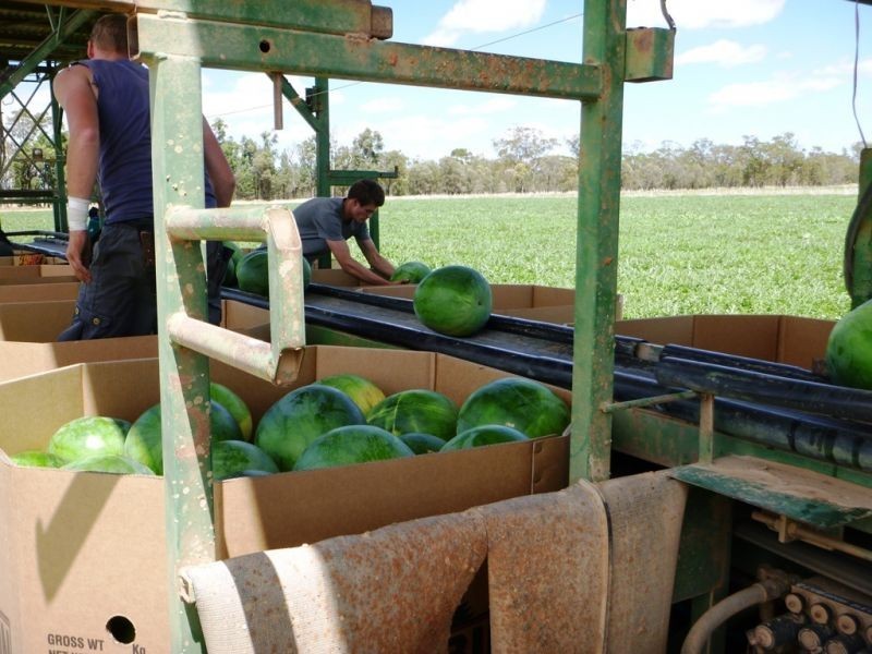 “Horse Shoe Lagoons” Pelican Back Road, Chinchilla QLD 4413