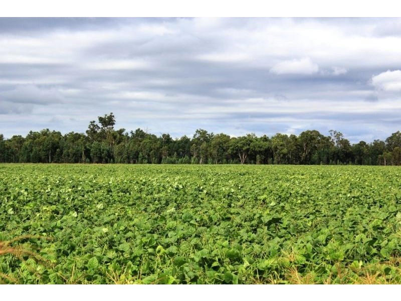 “Horse Shoe Lagoons” Pelican Back Road, Chinchilla QLD 4413