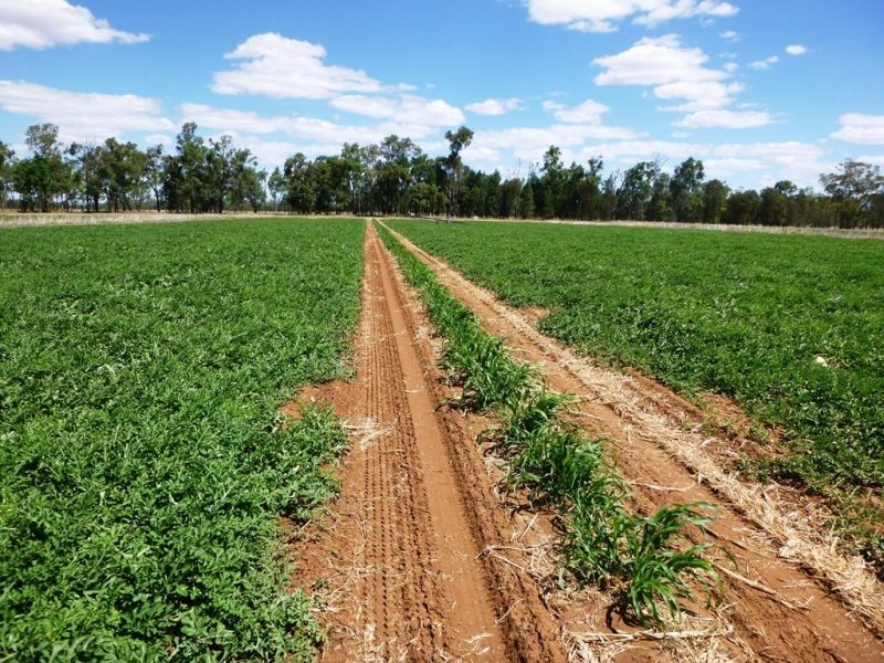 “Horse Shoe Lagoons” Pelican Back Road, Chinchilla QLD 4413