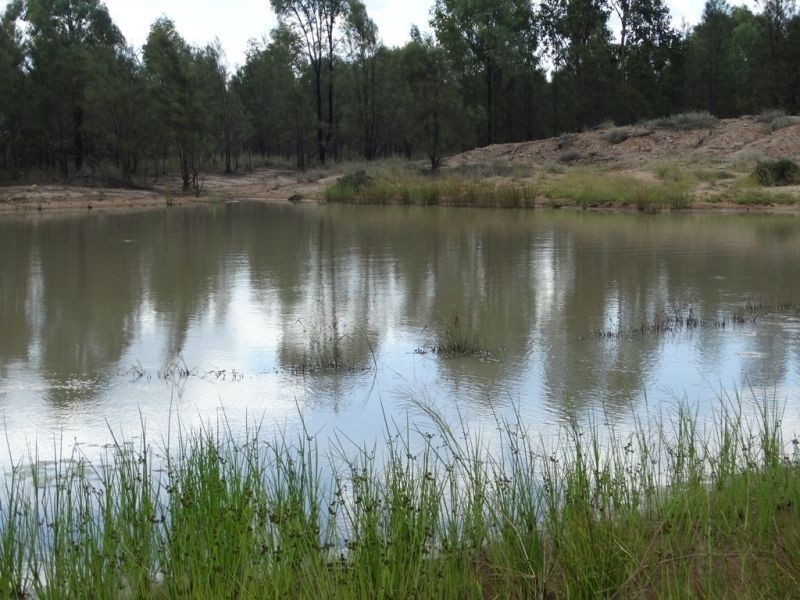 “Horse Shoe Lagoons” Pelican Back Road, Chinchilla QLD 4413