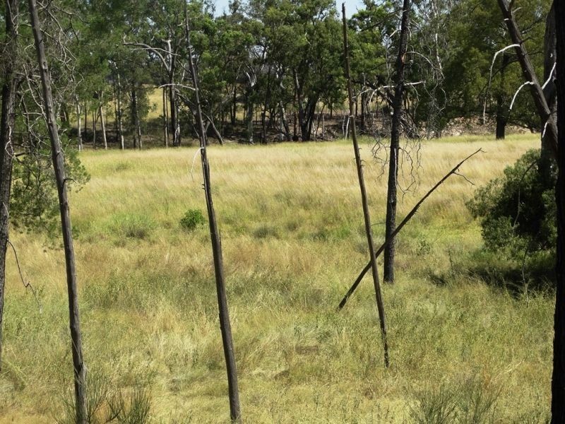 541 Auburn Road, Chinchilla QLD 4413