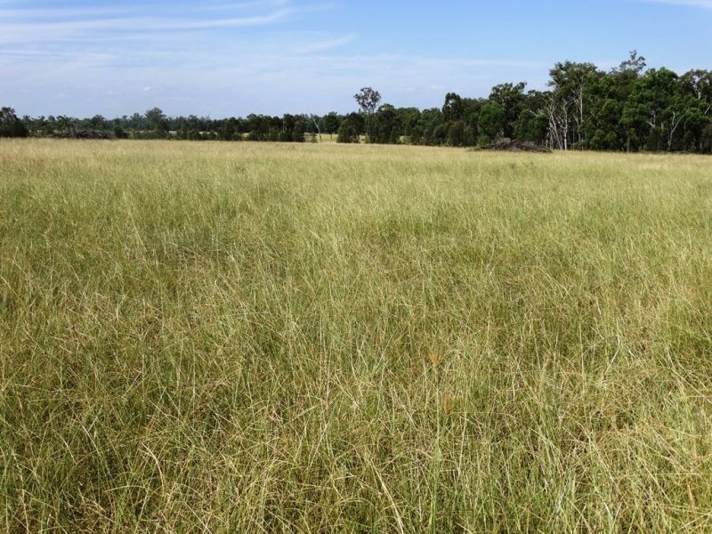 541 Auburn Road, Chinchilla QLD 4413