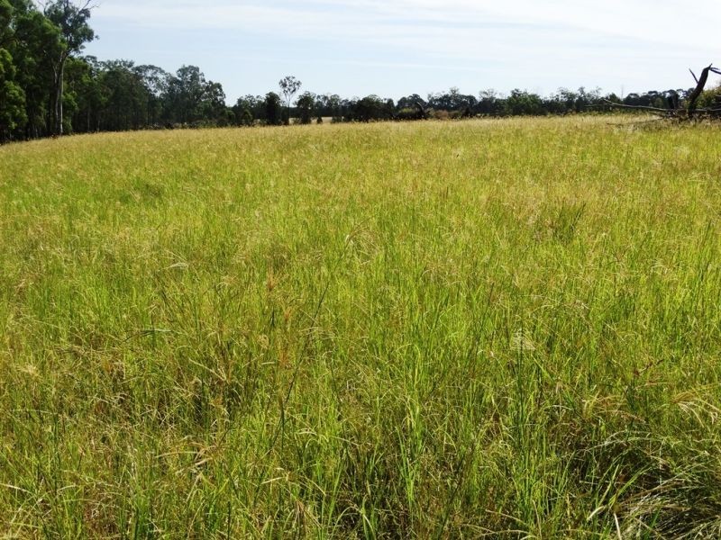 541 Auburn Road, Chinchilla QLD 4413