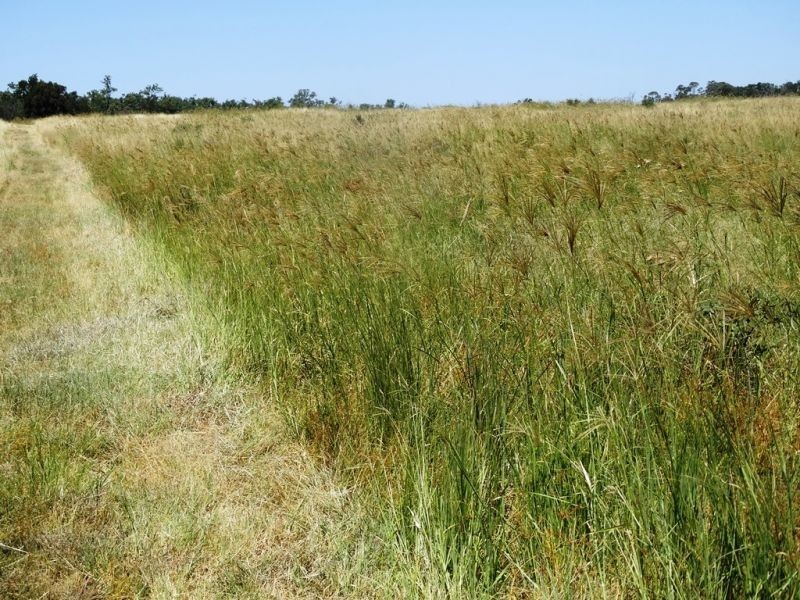 104 B Tennyson Road, Chinchilla QLD 4413