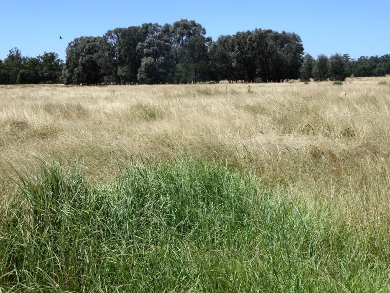 104 B Tennyson Road, Chinchilla QLD 4413