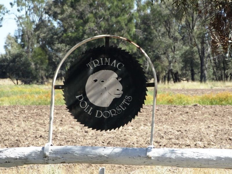 104 B Tennyson Road, Chinchilla QLD 4413