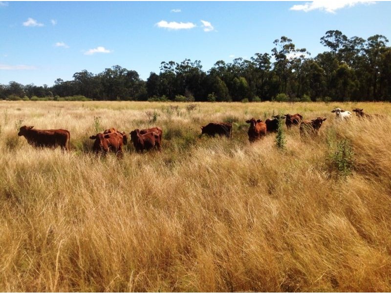 104 B Tennyson Road, Chinchilla QLD 4413