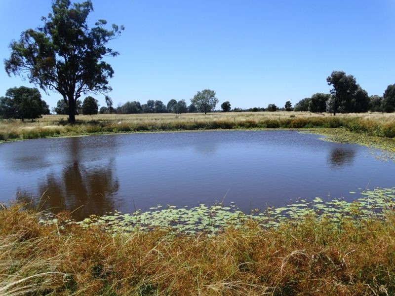 104 B Tennyson Road, Chinchilla QLD 4413